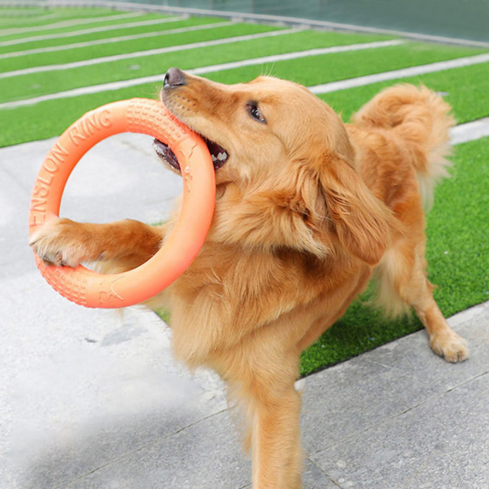 Flying Disc Dog Training Toy - オレンジ色の犬のおもちゃペットフライングディスクトレーニングリング引き手エバインタラクティブトレーニングリング引き手犬用
