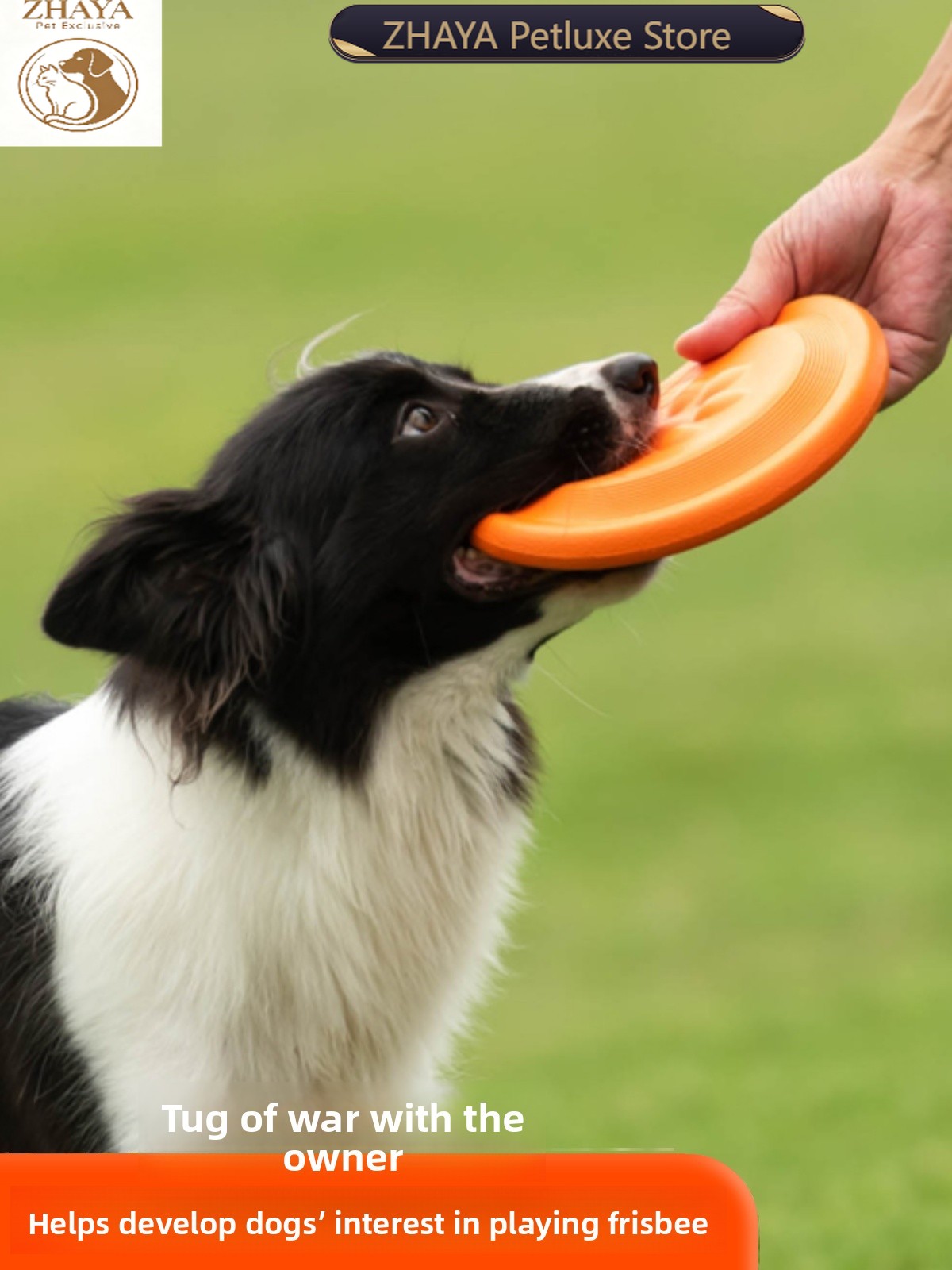Flying Disc Dog Training Toy - 犬用フライングディスク ソフトで耐久性があり、噛みつきに強い、歯に安全な、引っ張りトレーニング、インタラクティブな屋外用おもちゃ、小型、中型、大型 ZHAYA