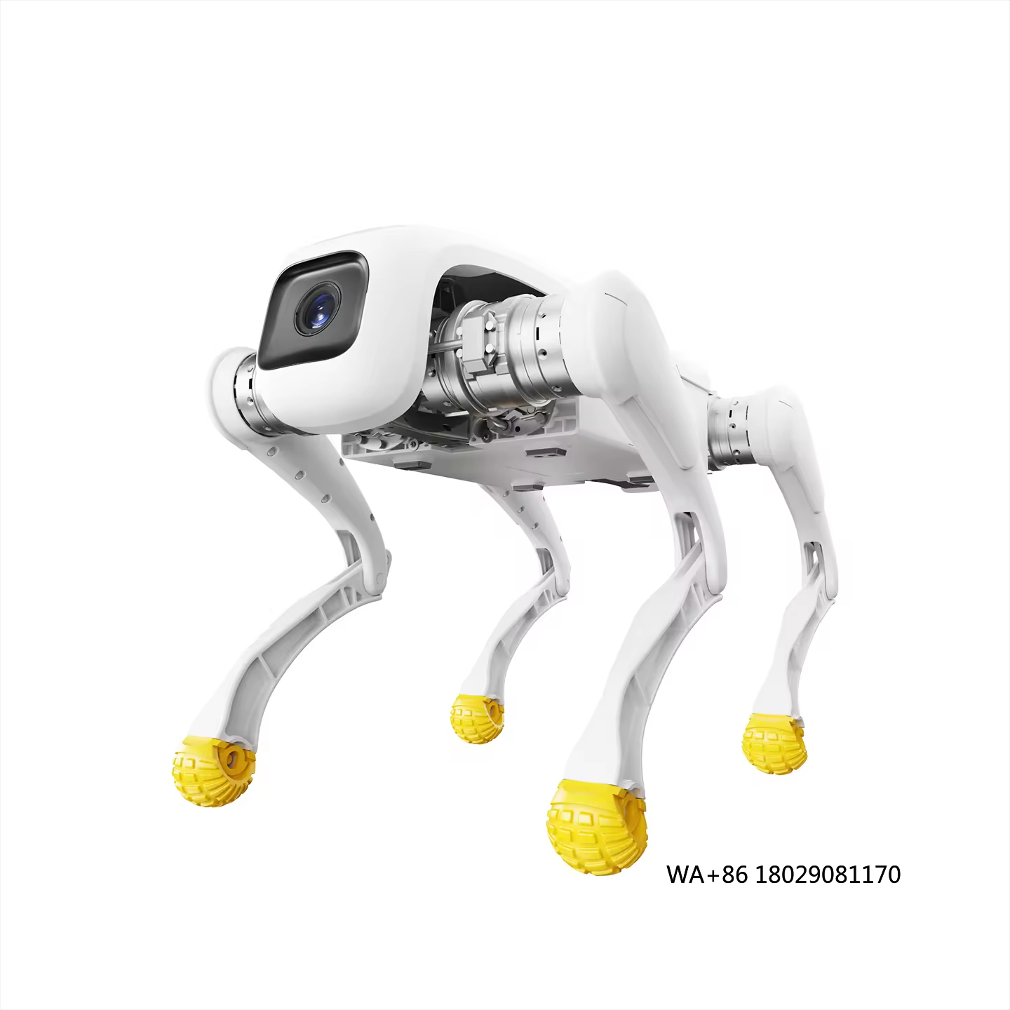 Dog Toys - メタル製のデザイン・ドッグ・ロボットAI電子ロボット玩具、アプリ制御とWi-Fi対応、AgiBot D1、最高の知能を持つ4足歩行ロボット