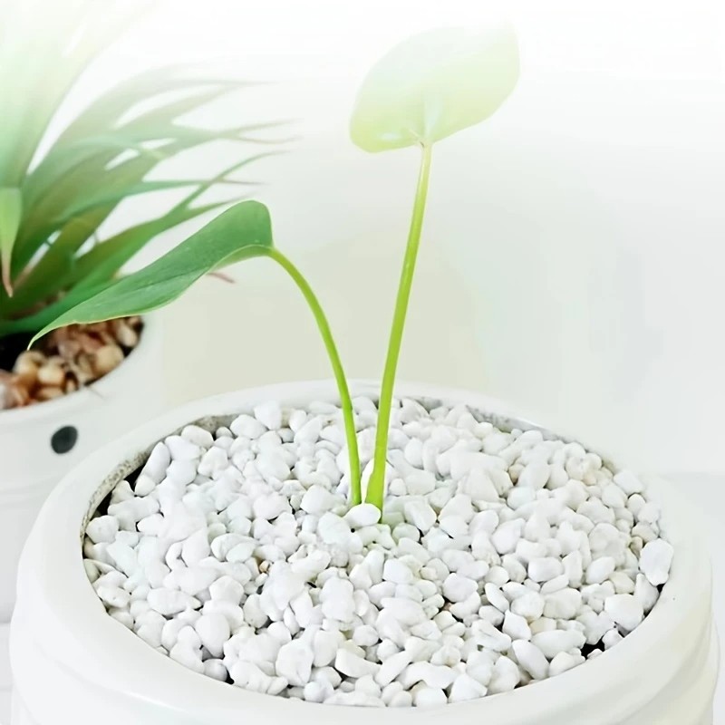 Pet Beds - 1L 高品質パーライト多肉植物蘭ユニバーサル植物底舗装装飾用プランター表面舗装、クロールペットベッド