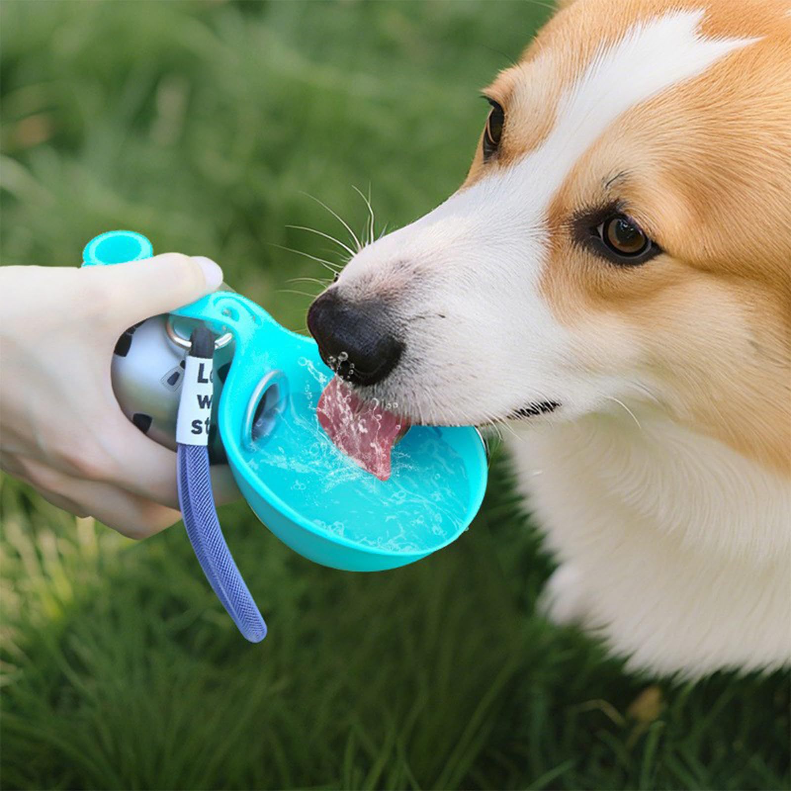 Pet Feeders - ACGグッズ ポータブルシリコンペットウォーターディスペンサー 丸型折りたたみ式屋外用ウォーターケトル 猫と犬用 フードボックスフィーダー