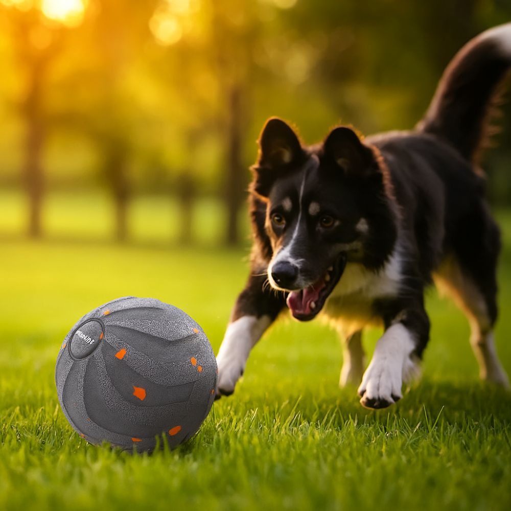 Automatic Moving Dog Ball - 噛みつきに強いスマートドッグトイボール、耐摩耗性、耐久性、自動移動ボールトイ、ライト付き、USB充電式