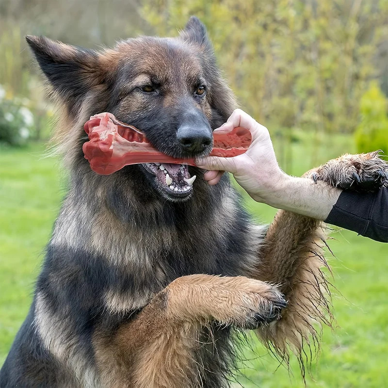 Teeth Cleaning Dog Chew Bone - 超頑丈で壊れない犬用噛むおもちゃ、丈夫な天然ゴムの骨、大型犬や攻撃的な噛みつき癖のある犬の歯のクリーニングに