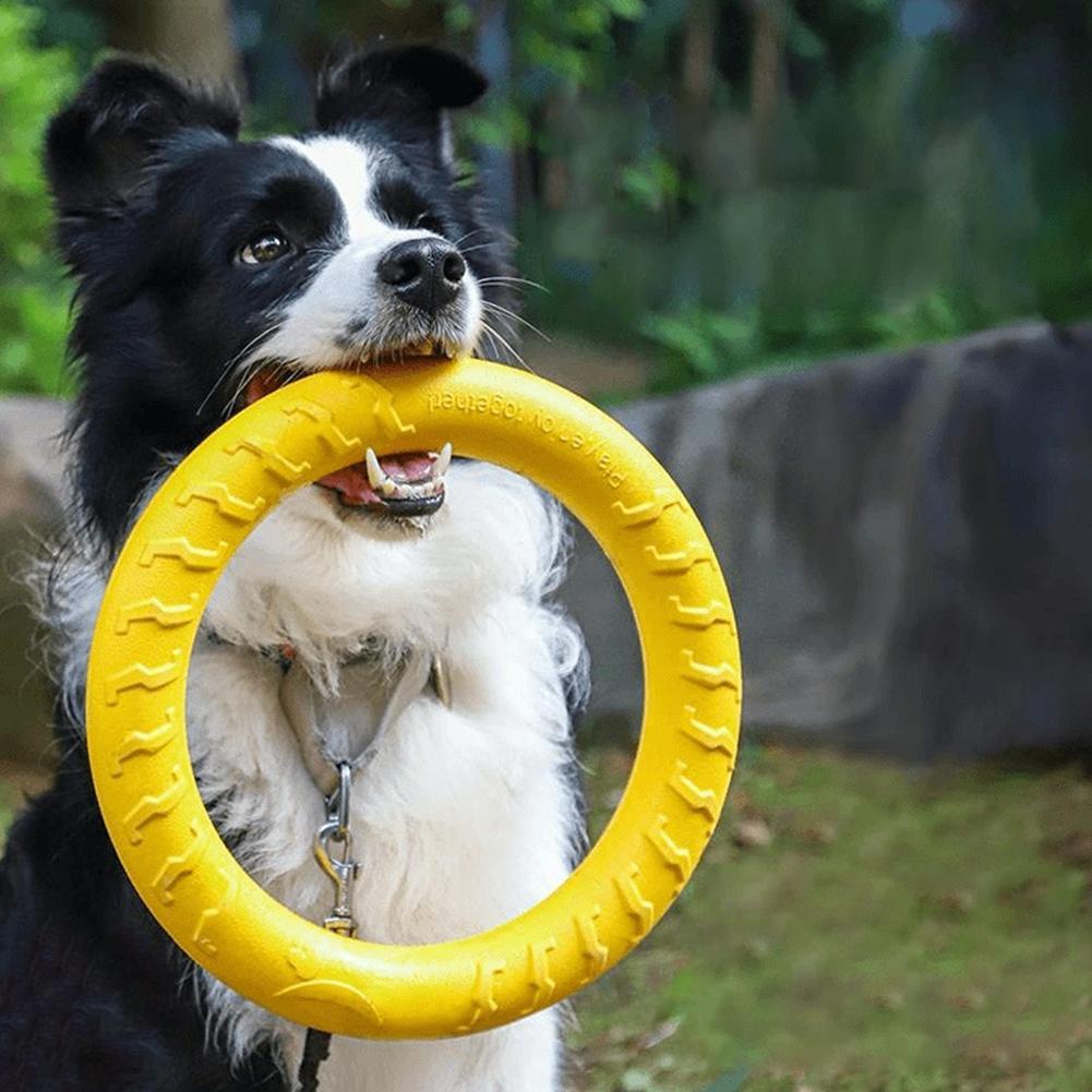 Suction Cup Dog Tug Toy - 犬用リングおもちゃ、壊れにくい噛むおもちゃ、飛んで浮くトレーニングツール、小型犬、中型犬、大型犬用のフェッチトレーニングリングプーラー