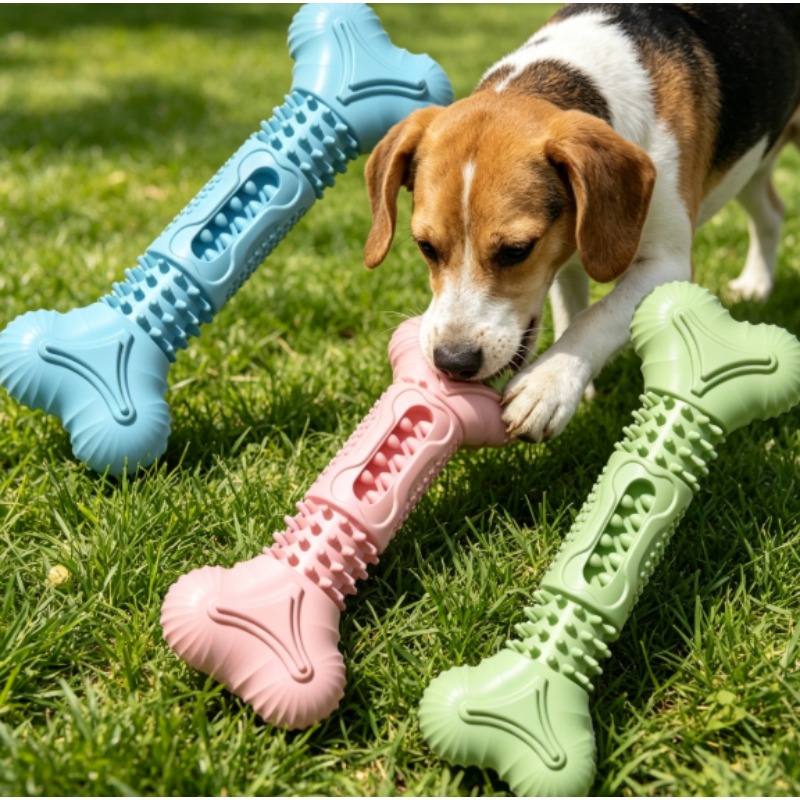 Teeth Cleaning Dog Chew Bone - 新しい耐久性のあるペット用噛み玩具セット 犬の歯が生える時期用おもちゃ 骨型TPR製犬用歯磨き噛み玩具