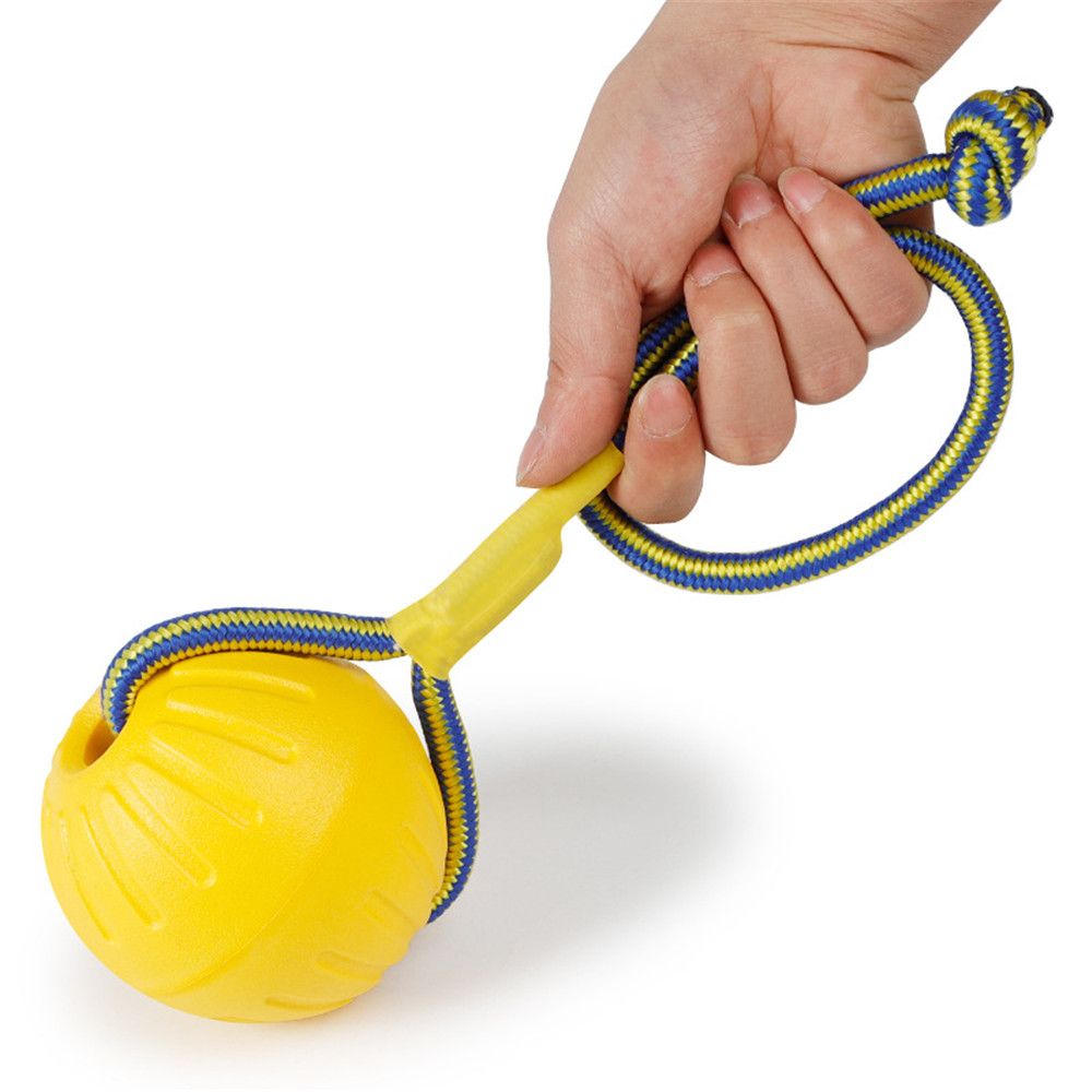 ペット、犬のトレーニング、チョプレイ、フェッチバイトトイ、イ - Suction Cup Dog Tug Toy のレビューと価格