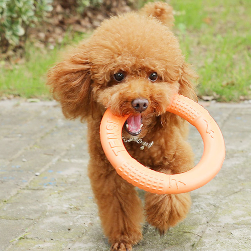 オレンジ色の犬のおもちゃペットフライングディスクトレーニング - Flying Disc Dog Training Toy のレビューと価格