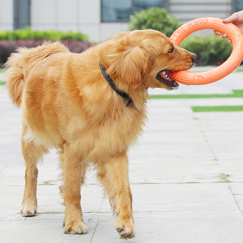 オレンジ色の犬のおもちゃペットフライングディスクトレーニング - Flying Disc Dog Training Toy のレビューと価格