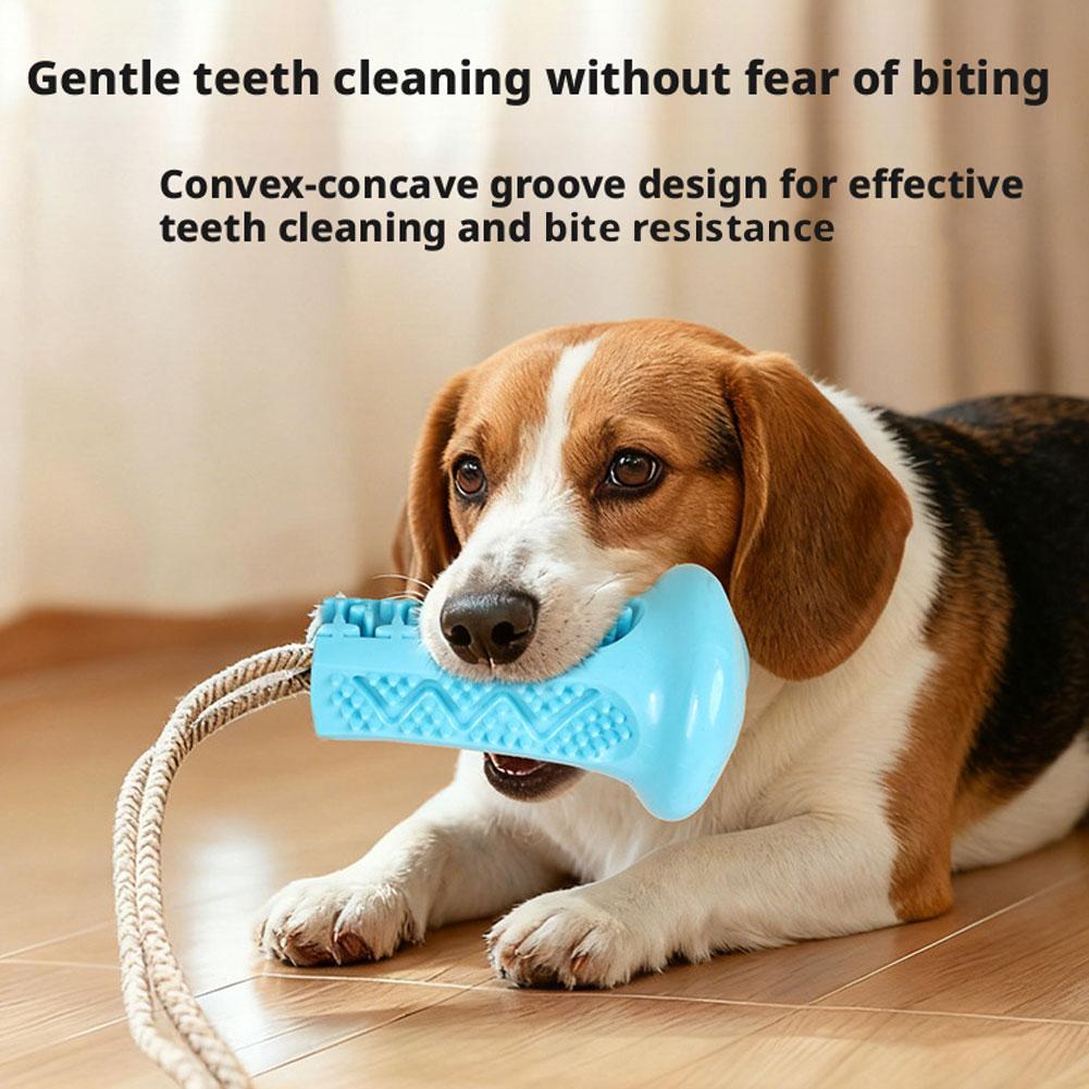 吸盤付き犬用噛むおもちゃ、インタラクティブな綱引きおもちゃ、 - Suction Cup Dog Tug Toy のレビューと価格