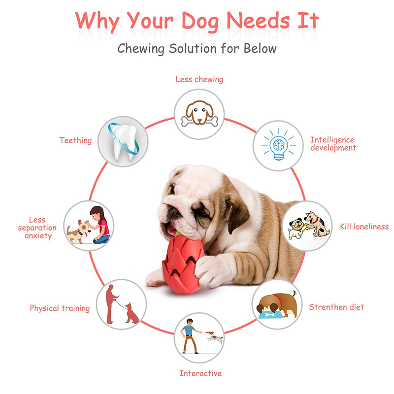 Benepaw不滅ピタヤ犬の咀嚼のおもちゃ小中大品種安全歯が - Indestructible Dog Chew Toy のレビューと価格