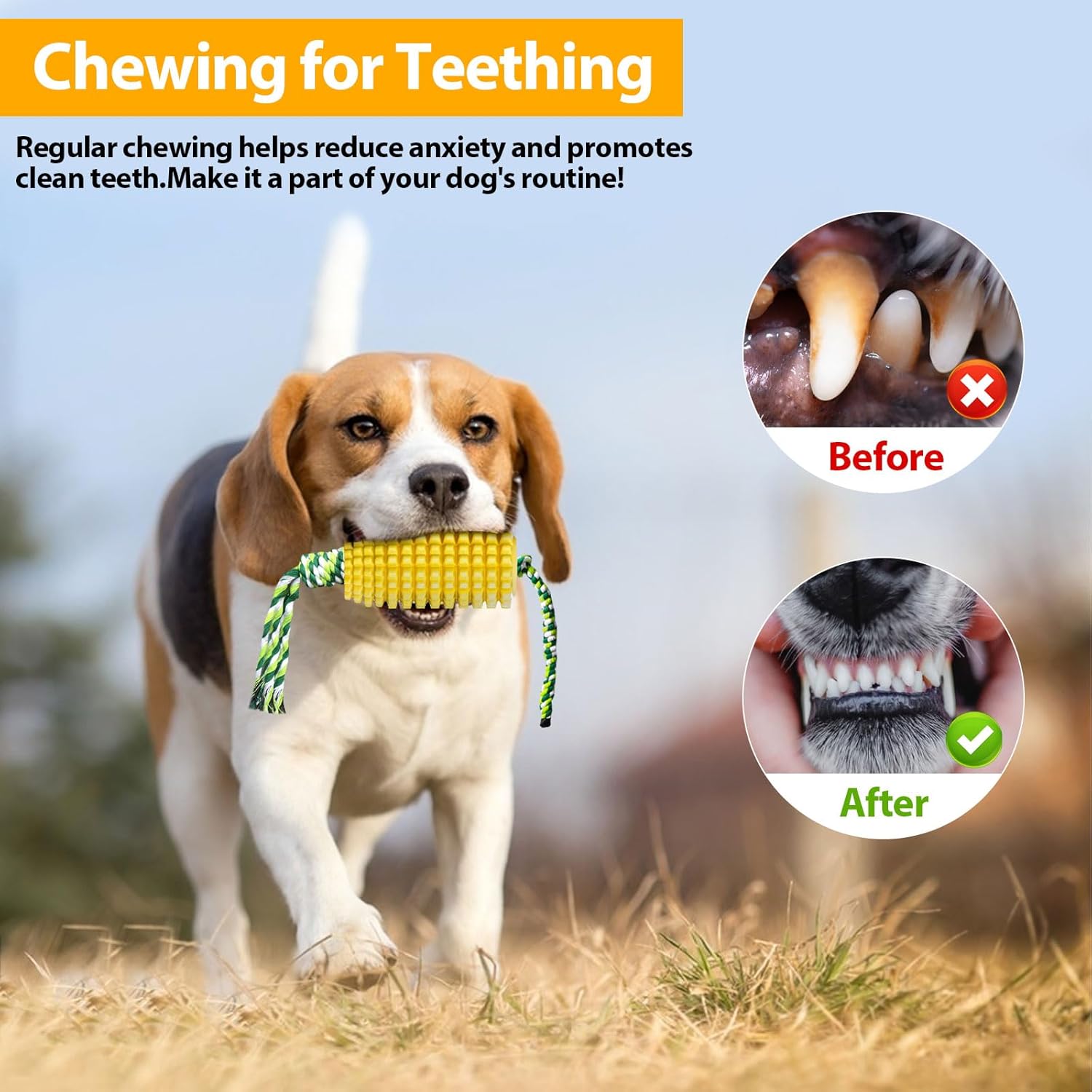 トウモロコシ型の犬用噛むおもちゃ 攻撃的な噛み癖のある犬用  - Dog Rope Toy Aggressive Chewers のレビューと価格