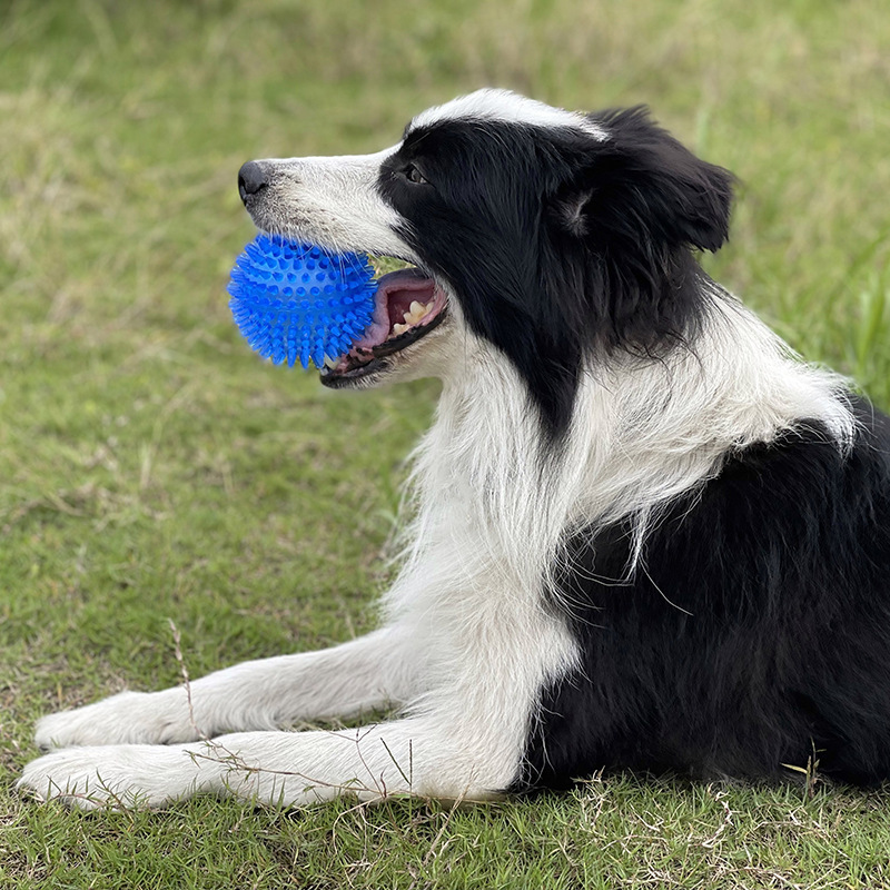 TPR製 音鳴りペット犬用噛むおもちゃ トゲトゲボール ポル - Interactive Squeaky Plush Dog Toy のレビューと価格