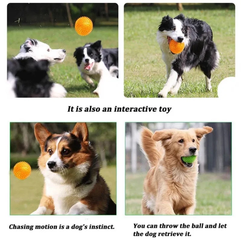 TPR製 音鳴りペット犬用噛むおもちゃ トゲトゲボール ポル - Interactive Squeaky Plush Dog Toy のレビューと価格