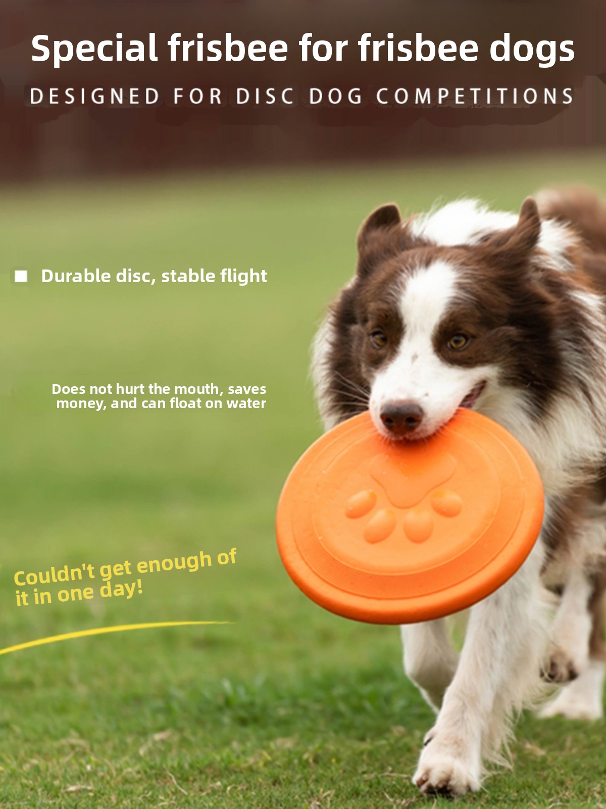 犬用フライングディスク ソフトで耐久性があり、噛みつきに強い - Flying Disc Dog Training Toy のレビューと価格