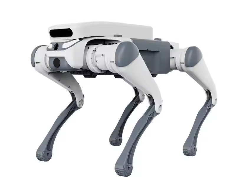 スタントリモコン教育玩具インテリジェントフィーダータッチセン - Dog Toys のレビューと価格