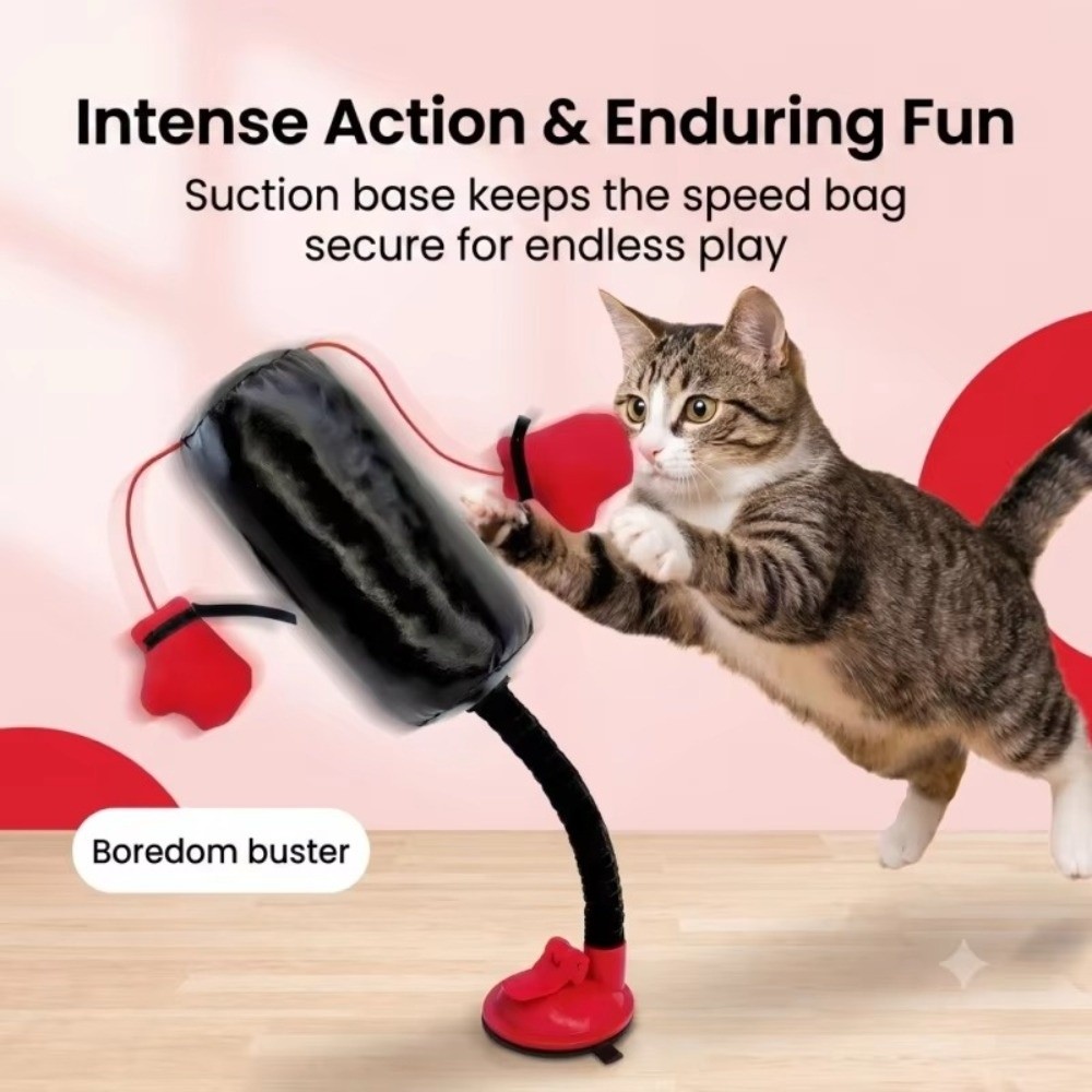 吸盤ベース付き猫用ボクシングおもちゃ 自立型スプリング式ペッ - Interactive Squeaky Plush Dog Toy のレビューと価格