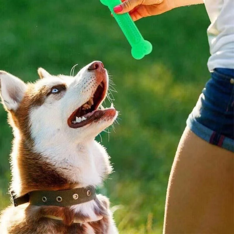 超タフな犬の骨咀嚼おもちゃレインボー積極的な咀嚼子犬の歯のク - Teeth Cleaning Dog Chew Bone のレビューと価格