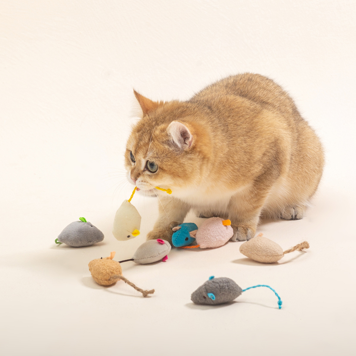16個入り 猫用インタラクティブマウスおもちゃ 猫の噛むおも - Catnip Interactive Plush Mouse のレビューと価格