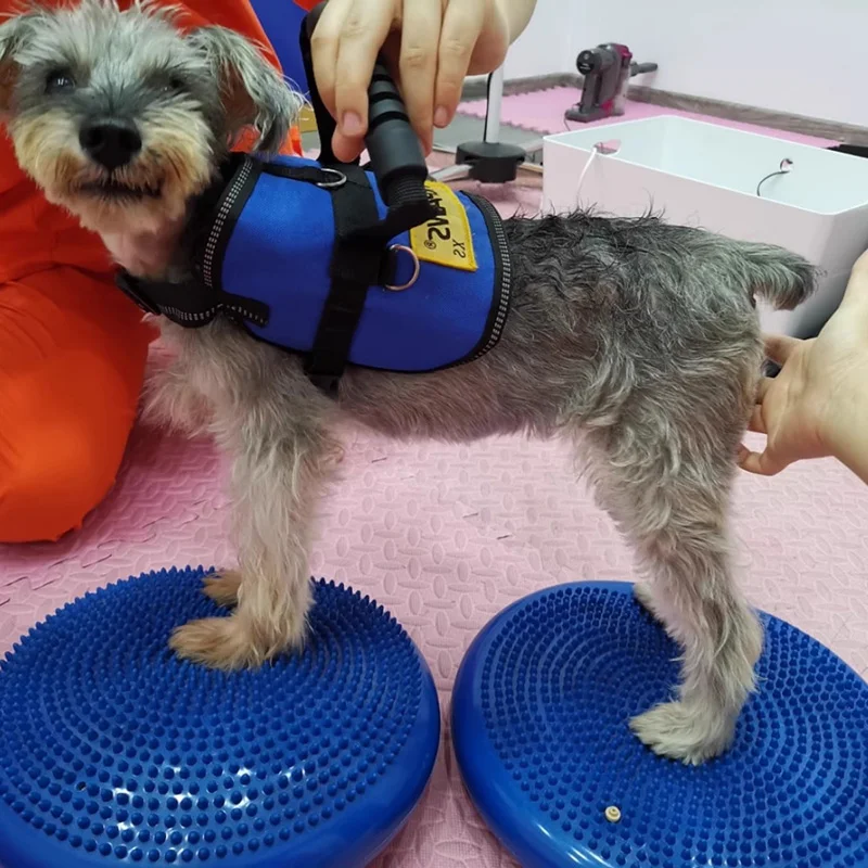 バランスの取れた空飛ぶ円盤,ペット,犬のトレーニング,フィッ - Flying Disc Dog Training Toy のレビューと価格