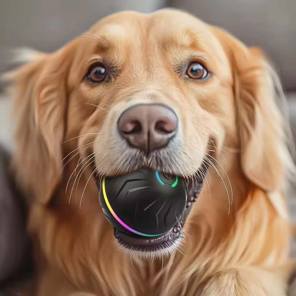 インタラクティブスマートドッグトイボール - 子犬から大型犬 - Automatic Moving Dog Ball のレビューと価格