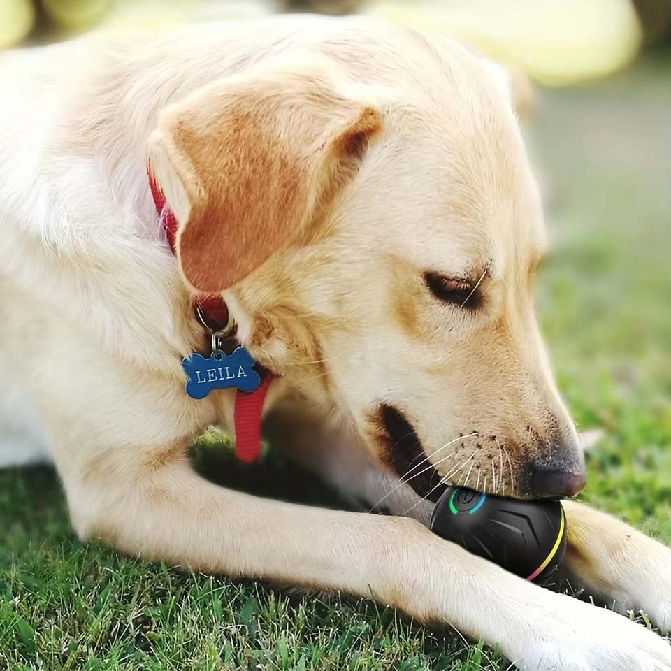 インタラクティブスマートドッグトイボール - 子犬から大型犬 - Automatic Moving Dog Ball のレビューと価格