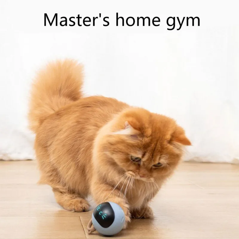 インタラクティブ猫ボールおもちゃ USB 充電式自動移動ロー - Automatic Moving Dog Ball のレビューと価格