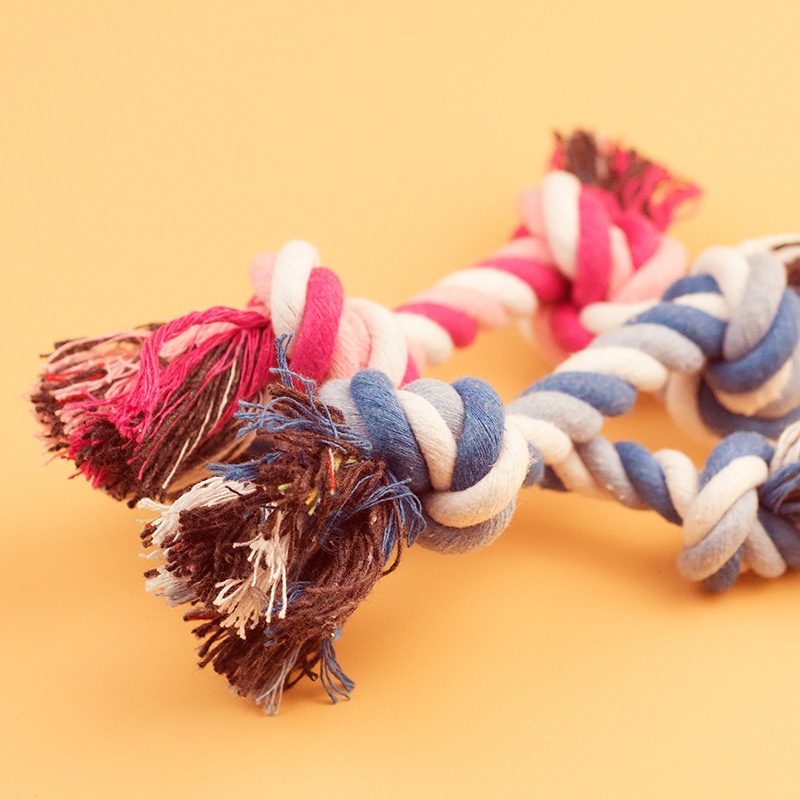 犬用おもちゃ ペット用臼歯用耐噛み性コットンロープ結び 小型 - Interactive Squeaky Plush Dog Toy のレビューと価格