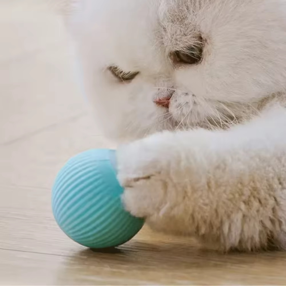 犬と猫のための自動移動ボール スマートUSBジャンプ回転イン - Automatic Moving Dog Ball のレビューと価格