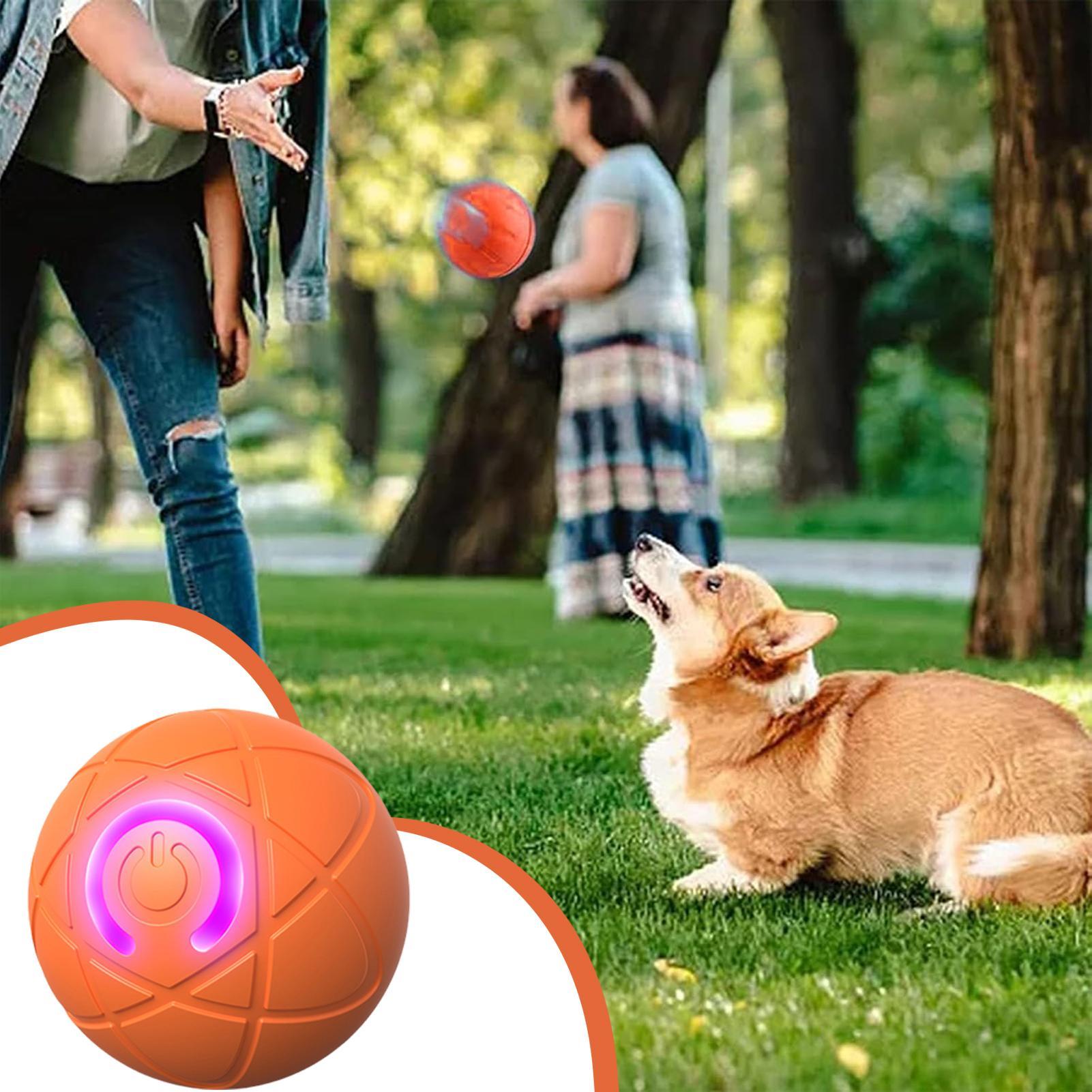 噛みつきが激しい犬用スマートインタラクティブおもちゃ、自動移 - Automatic Moving Dog Ball のレビューと価格