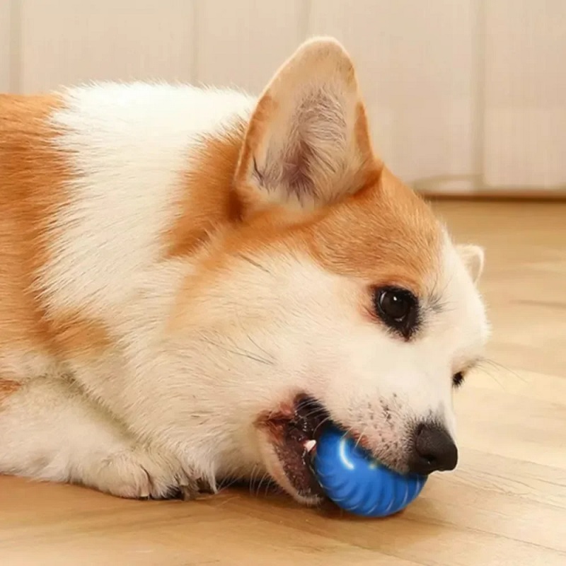 犬用おもちゃボール 自動移動 バウンス ローリングボール U - Suction Cup Dog Tug Toy のレビューと価格