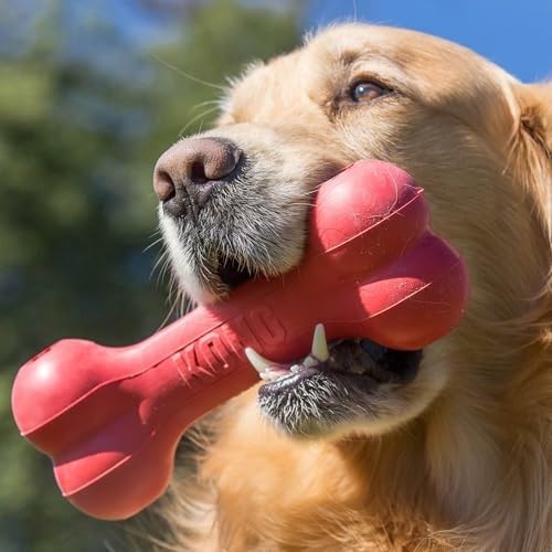 クラシックで丈夫な天然ゴム製犬用ボーン、精神的な交流を促進  - Rubber Treat Dispensing Dog Toy のレビューと価格