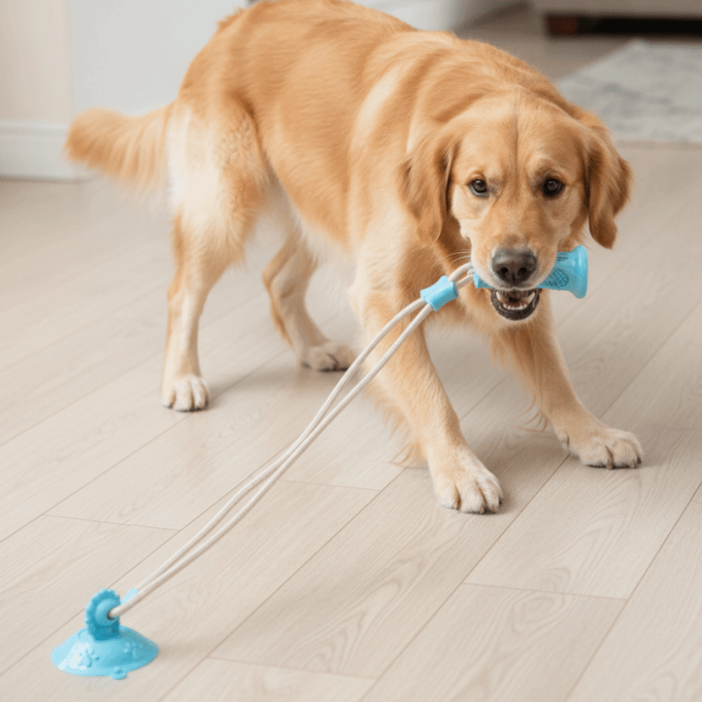 噛みつきに強い犬用吸盤付き弾性フード漏れ防止インタラクティブ - Suction Cup Dog Tug Toy のレビューと価格
