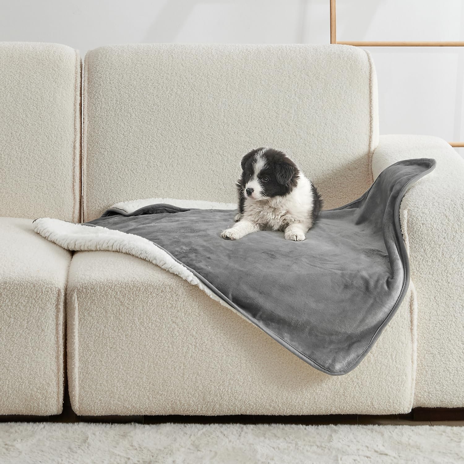 無地ペットブランケット、居心地の良いペット用プラッシュブラン - Pet Beds のレビューと価格