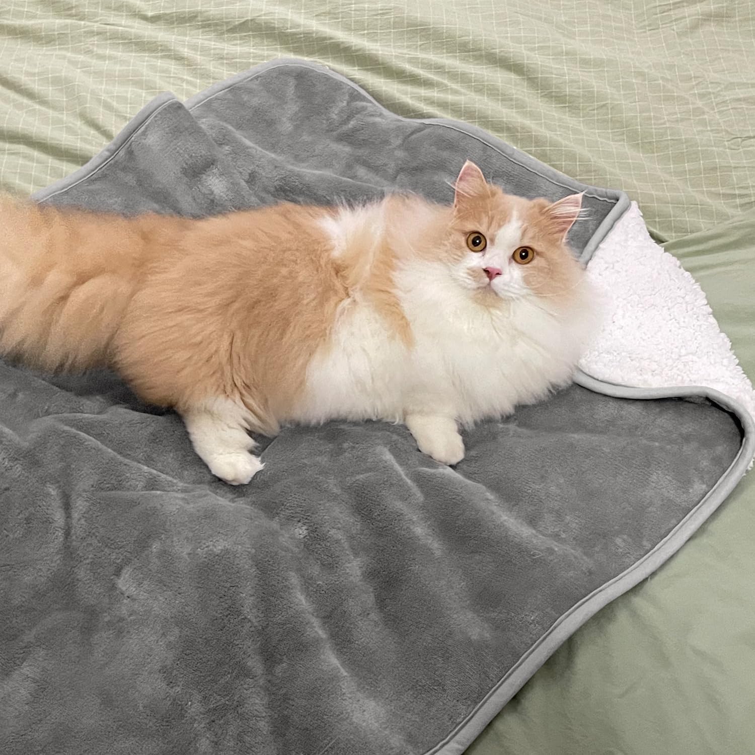 無地ペットブランケット、居心地の良いペット用プラッシュブラン - Pet Beds のレビューと価格