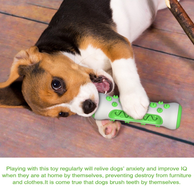 ペット犬用歯固めスティック、噛むことができる骨型歯ブラシ、デ - Teeth Cleaning Dog Chew Bone のレビューと価格