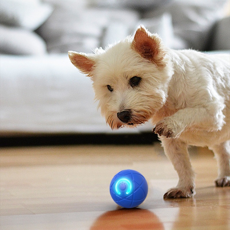 スマート犬のおもちゃボール USB 自動移動バウンスボール犬 - Suction Cup Dog Tug Toy のレビューと価格