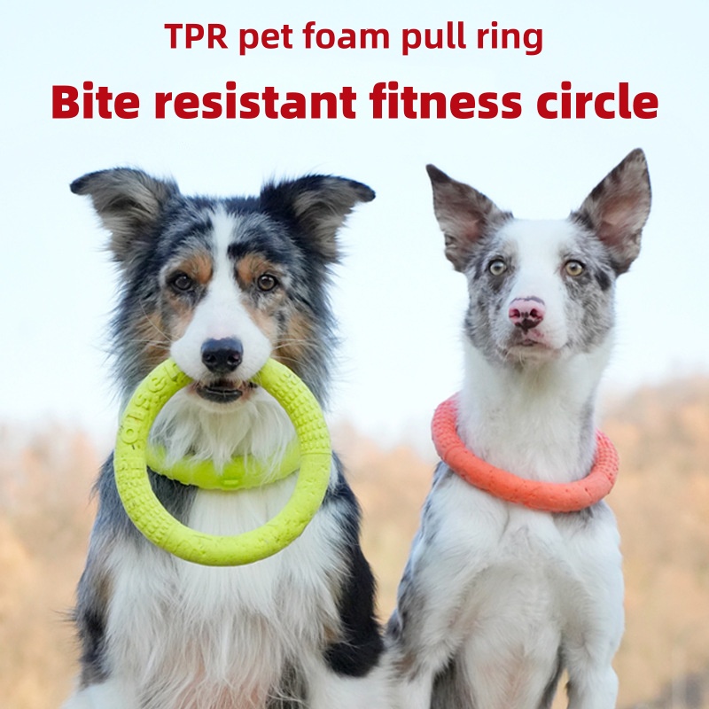 噛みつきにくいEVA素材の犬用フライヤー、防水フローティング - Flying Disc Dog Training Toy のレビューと価格