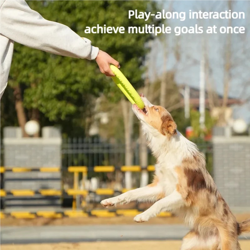 噛みつきにくいEVA素材の犬用フライヤー、防水フローティング - Flying Disc Dog Training Toy のレビューと価格