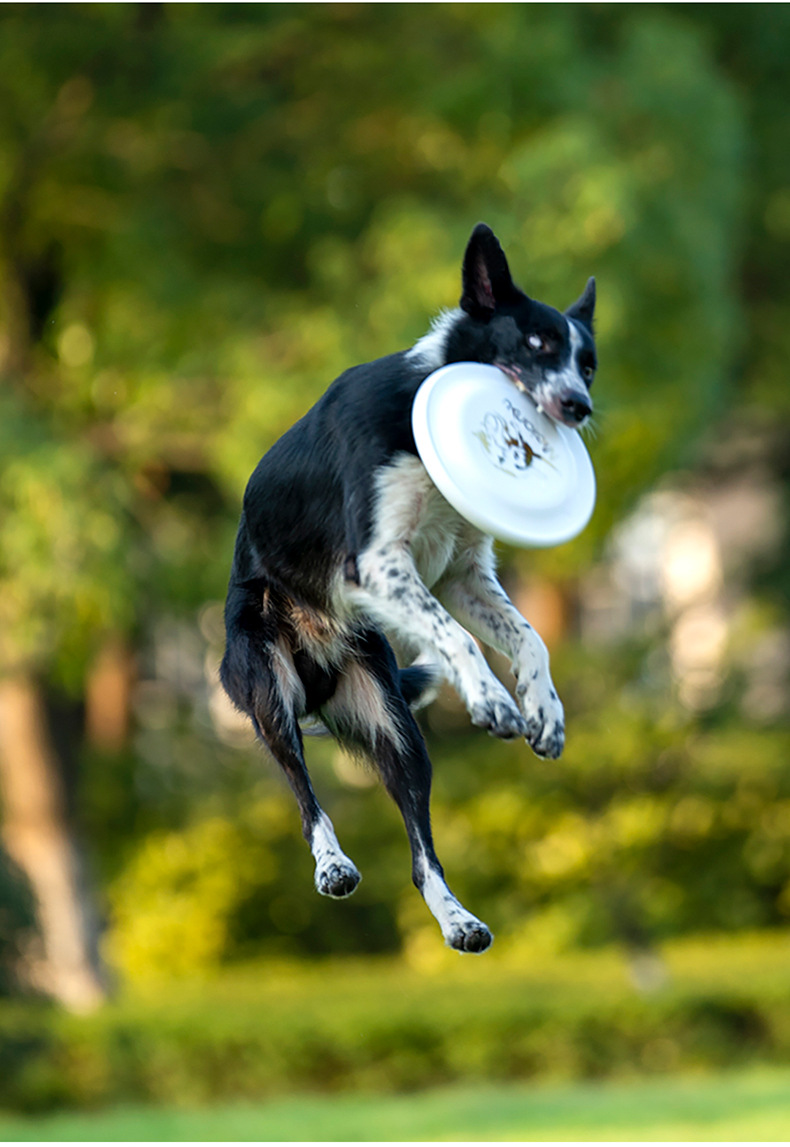 Ouzey-犬用の耐衝撃性飛行ディスクのおもちゃ,インタラク - Flying Disc Dog Training Toy のレビューと価格
