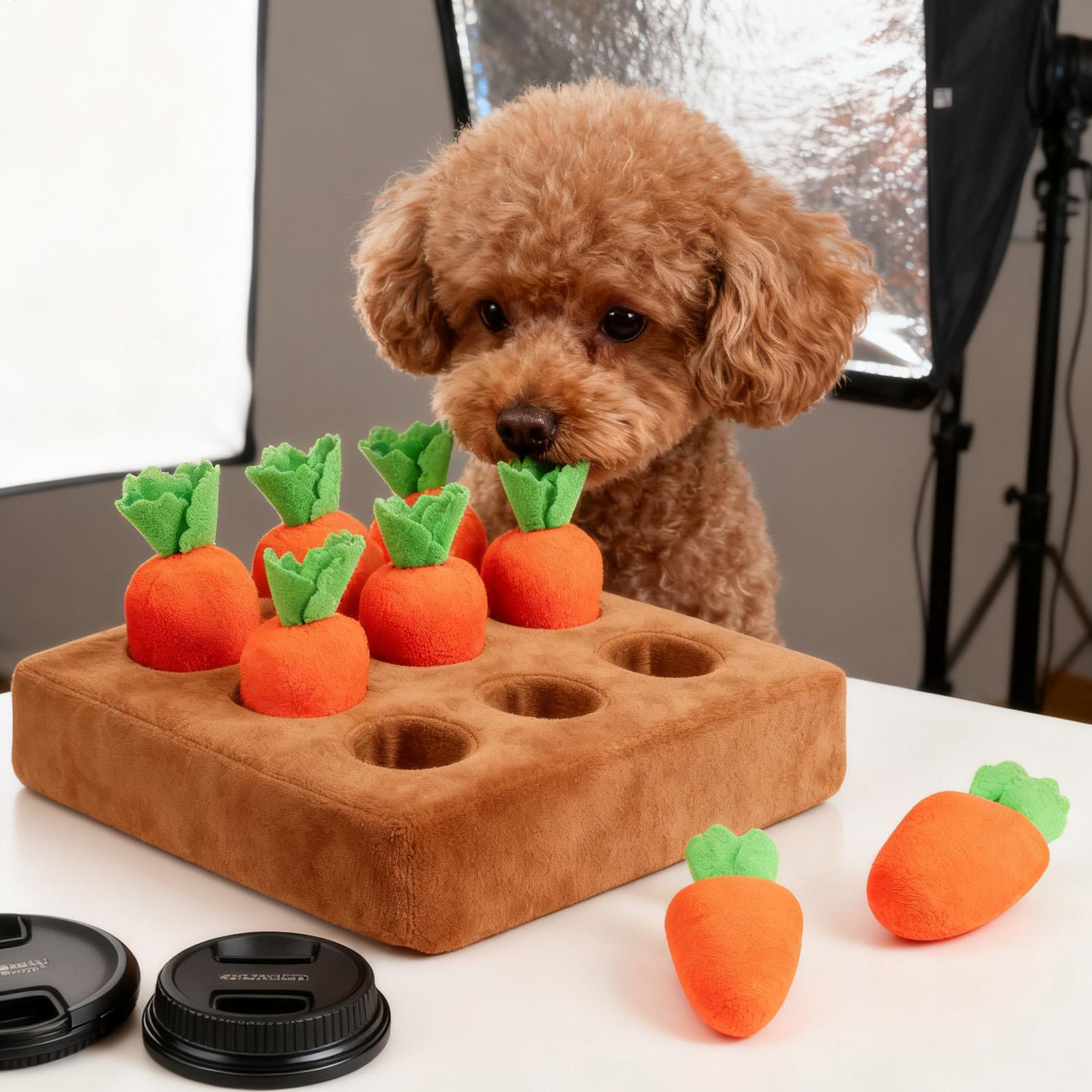 子犬用スナッフルマット 面白い知育玩具 大型犬用知育玩具 小 - Snuffle Mat For Dogs のレビューと価格