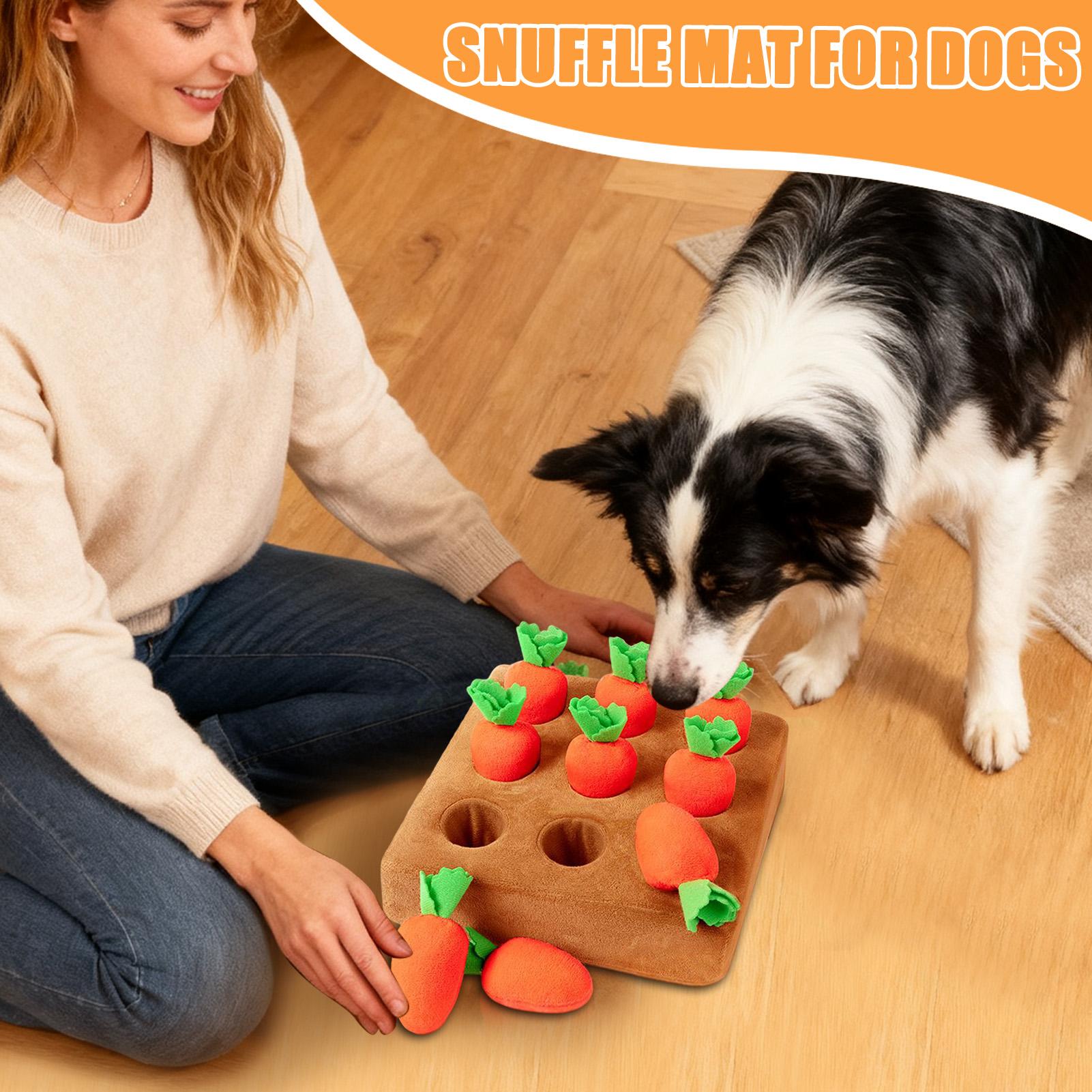 子犬用スナッフルマット 面白い知育玩具 大型犬用知育玩具 小 - Snuffle Mat For Dogs のレビューと価格