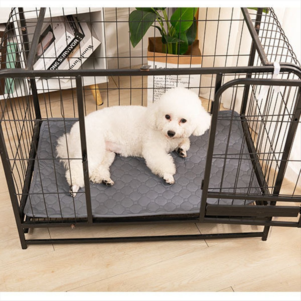 *A14E 犬用尿パッド吸収性おむつ用再利用可能ブランケット - Pet Beds のレビューと価格
