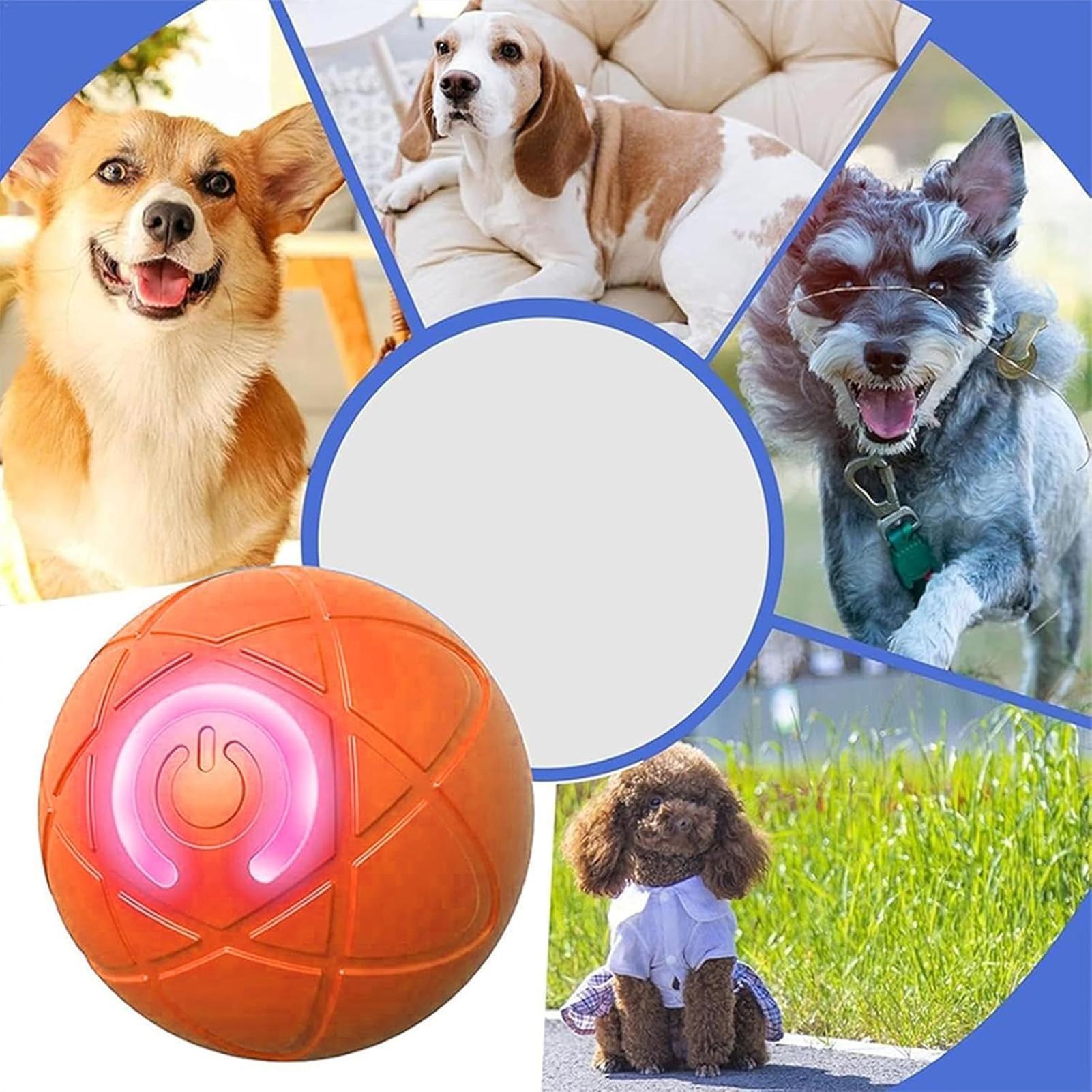 スマートドッグトイボール 電子インタラクティブペットトイ 動 - Automatic Moving Dog Ball のレビューと価格
