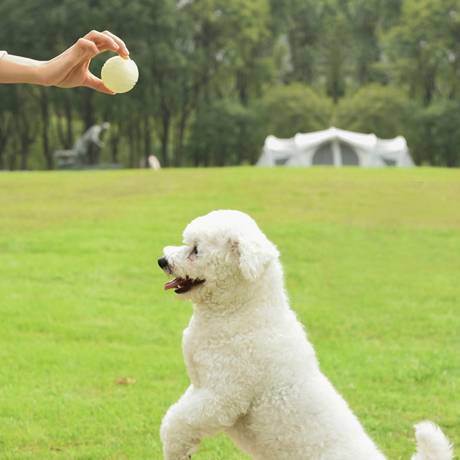 犬用おもちゃボール 光る バウンスする 噛むおもちゃ ロープ - Dog Rope Toy Aggressive Chewers のレビューと価格