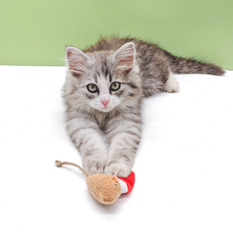 5 個猫プッシュ咀嚼おもちゃマタタビクリスマスマウス噛みつき - Catnip Interactive Plush Mouse のレビューと価格