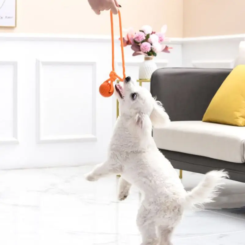 犬のトレーニングボール、綿のロープ製、耐久性と無毒、インタラ - Suction Cup Dog Tug Toy のレビューと価格