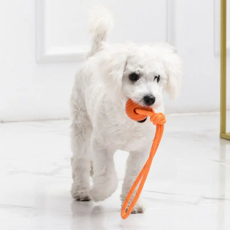 犬のトレーニングボール、綿のロープ製、耐久性と無毒、インタラ - Suction Cup Dog Tug Toy のレビューと価格