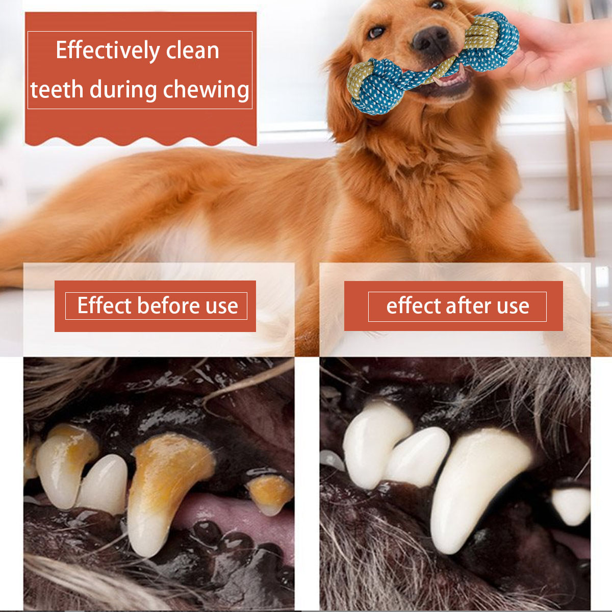 新しい7個入りペット用犬子犬用ダブルノット噛むおもちゃ、歯の - Teeth Cleaning Dog Chew Bone のレビューと価格