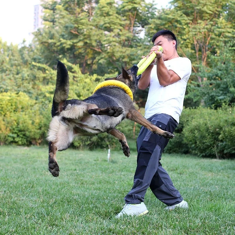 飛んでいるディスクバドッグトレーニングリング,犬のための耐摩 - Flying Disc Dog Training Toy のレビューと価格
