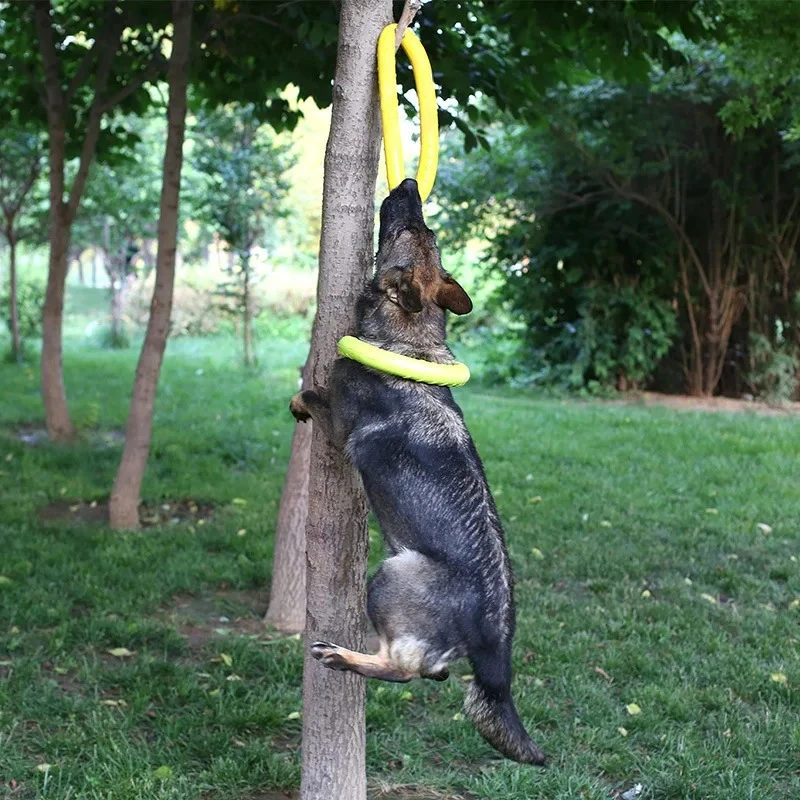 飛んでいるディスクバドッグトレーニングリング,犬のための耐摩 - Flying Disc Dog Training Toy のレビューと価格